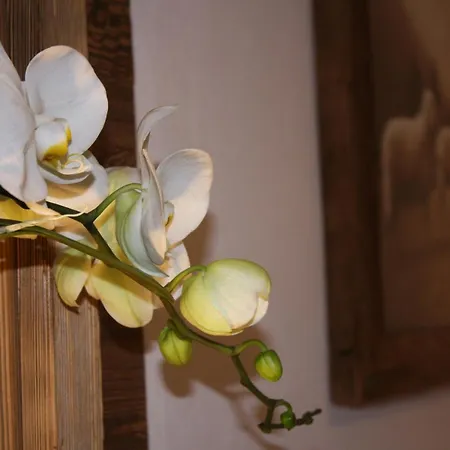 Haus Berghoamat アパート *