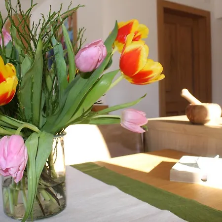 Apartment Haus Berghoamat Filzmoos