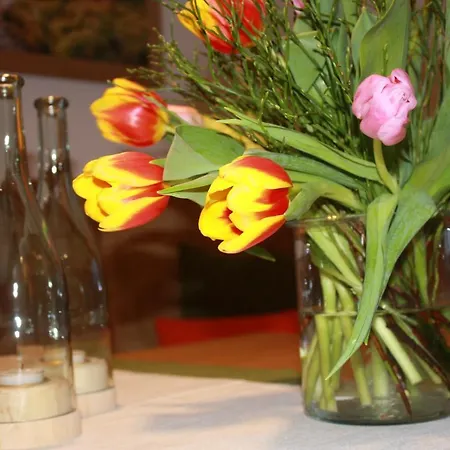 Haus Berghoamat * Filzmoos